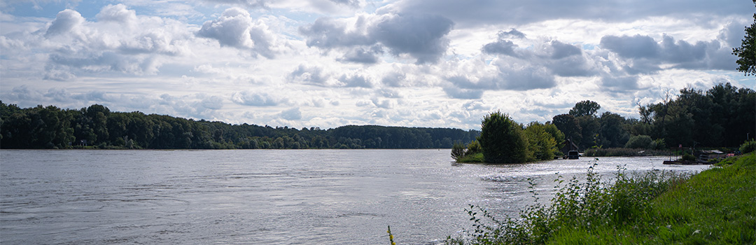 Donau mit Donauarm
